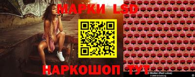 jwh Братск