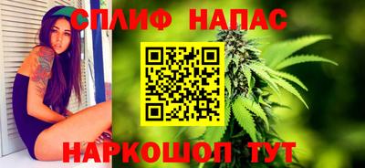 мдпв Брянск