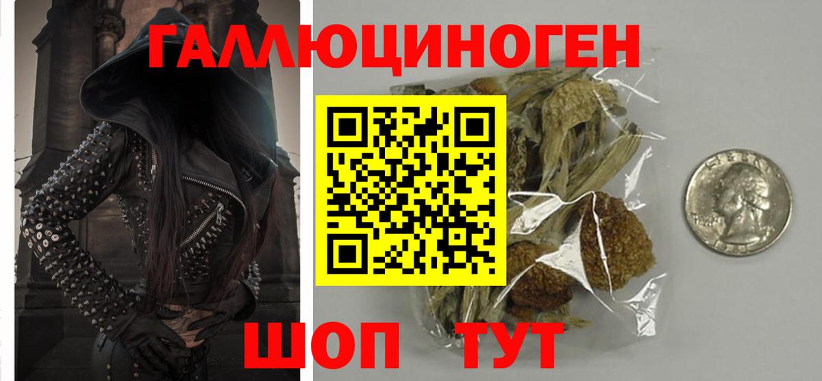 Печора  Псилоцибиновые грибы прущие грибы  Вход с VPN 